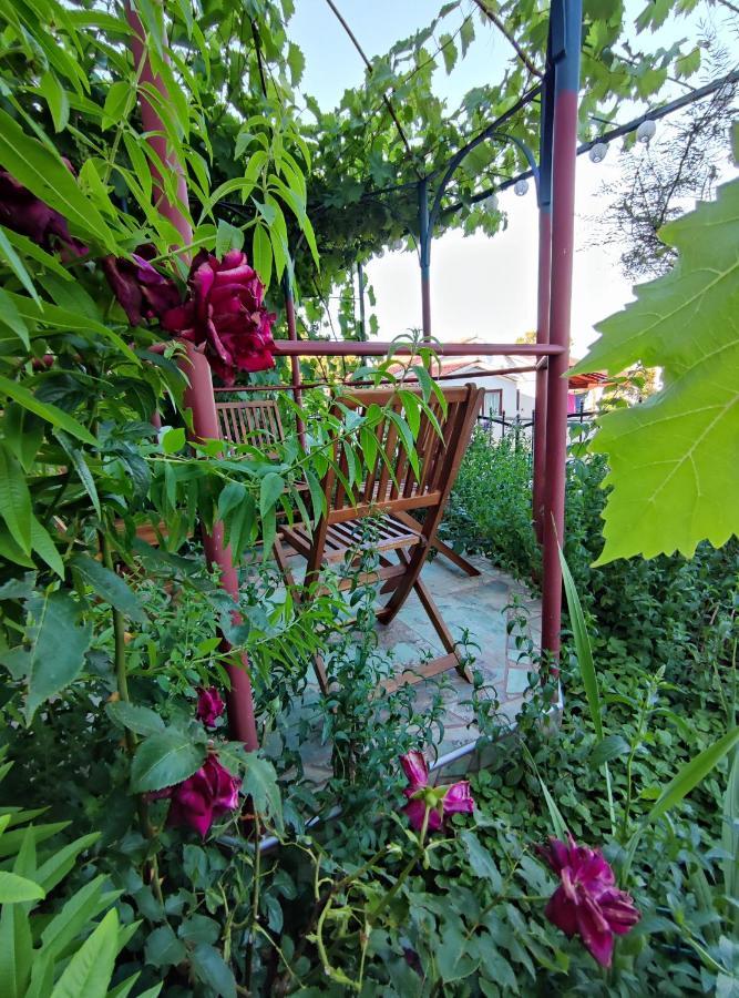 Summer Time بريمونتيرا المظهر الخارجي الصورة