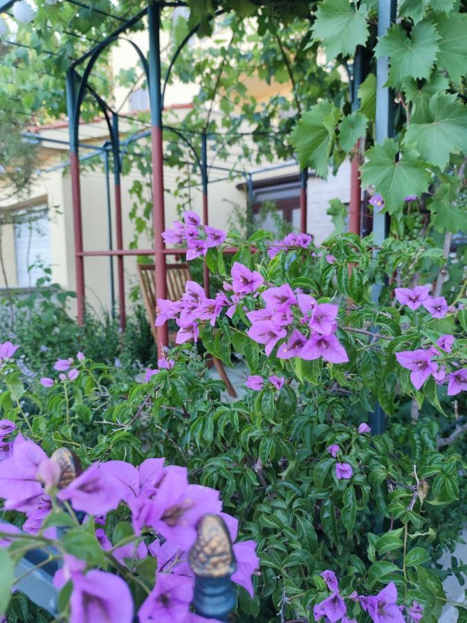 Summer Time بريمونتيرا المظهر الخارجي الصورة