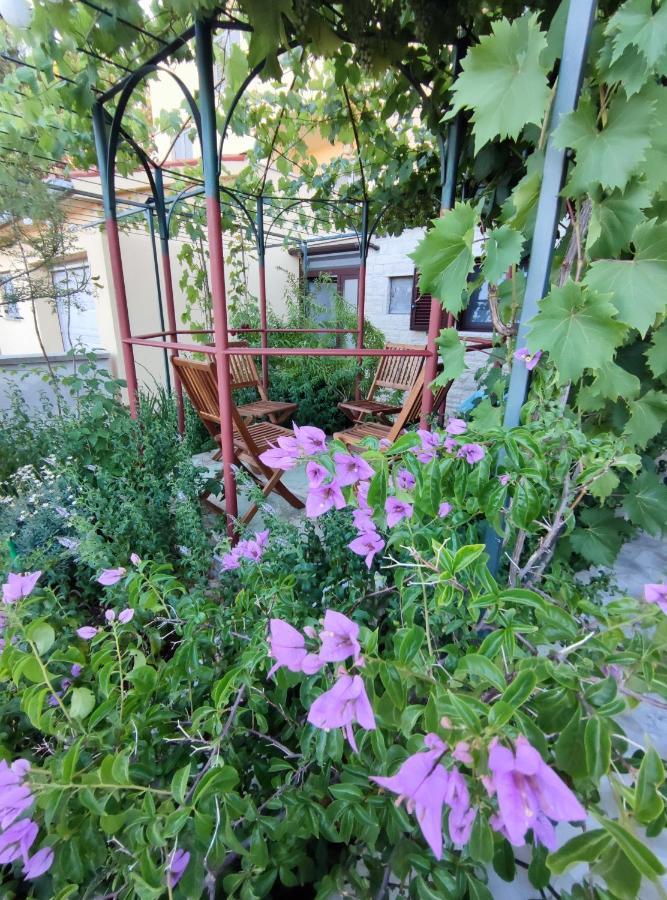 Summer Time بريمونتيرا المظهر الخارجي الصورة