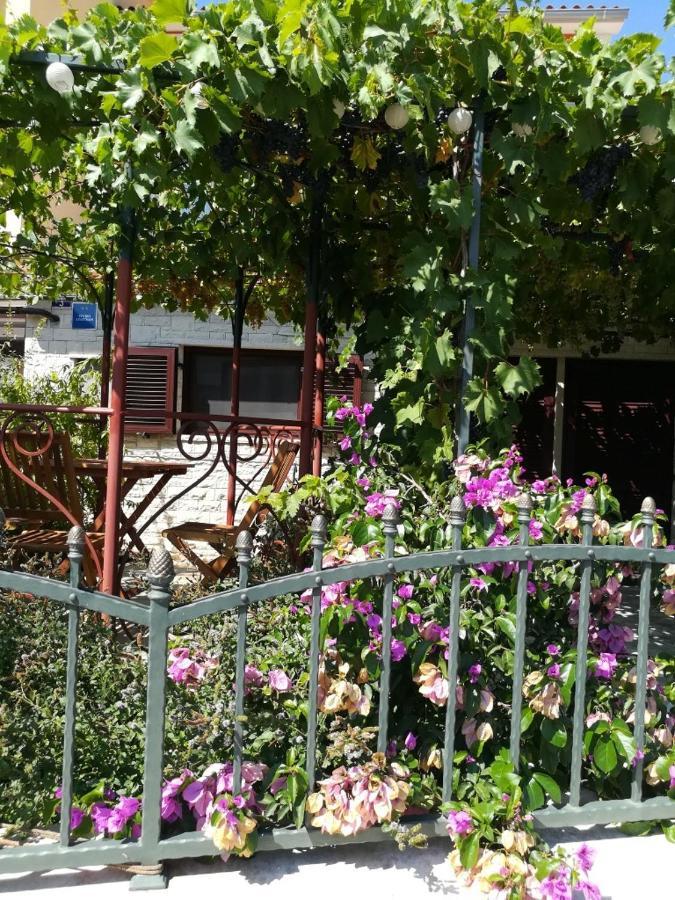 Summer Time بريمونتيرا المظهر الخارجي الصورة