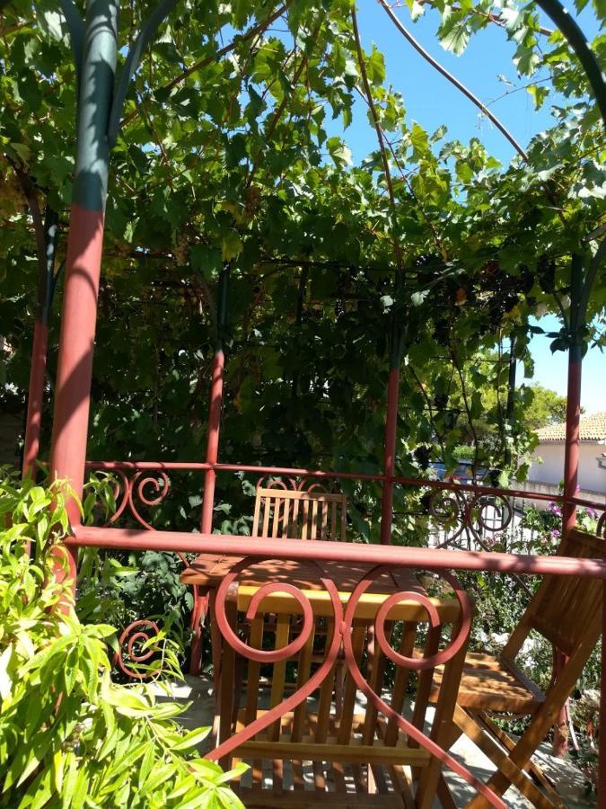 Summer Time بريمونتيرا المظهر الخارجي الصورة